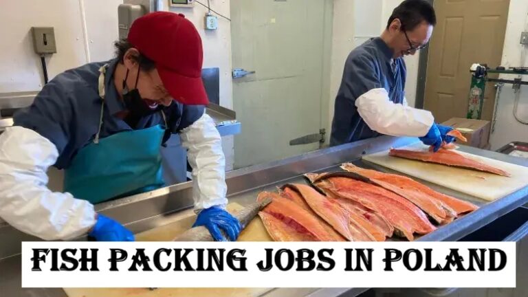 Fish Packing Jobs in Poland