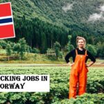 Fruit Picking Jobs in Norway