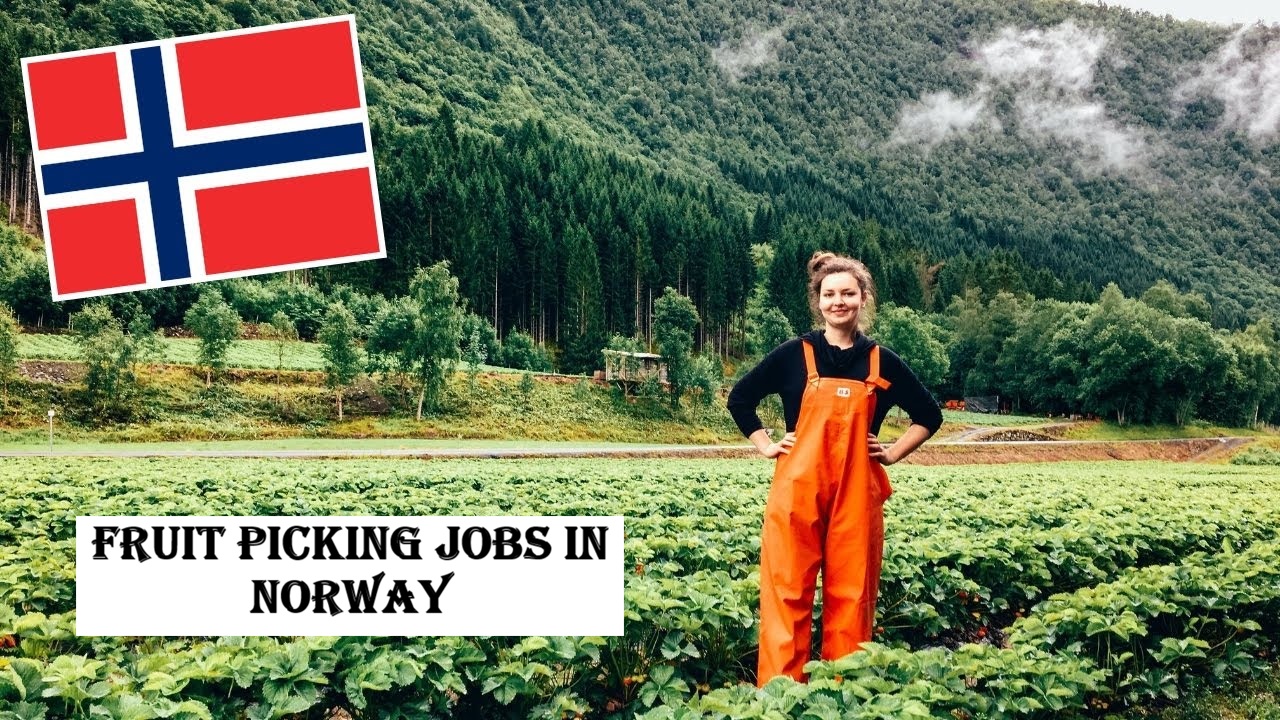 Fruit Picking Jobs in Norway