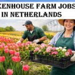 Greenhouse Farm Jobs in Netherlands