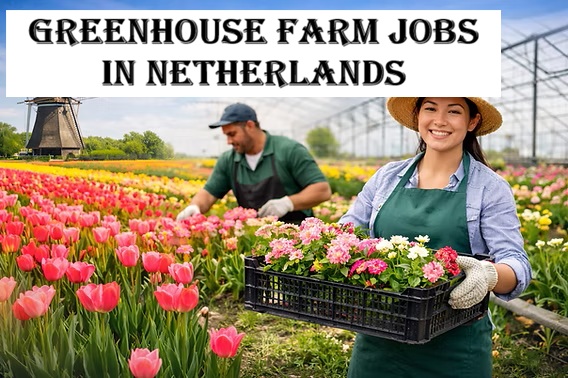 Greenhouse Farm Jobs in Netherlands