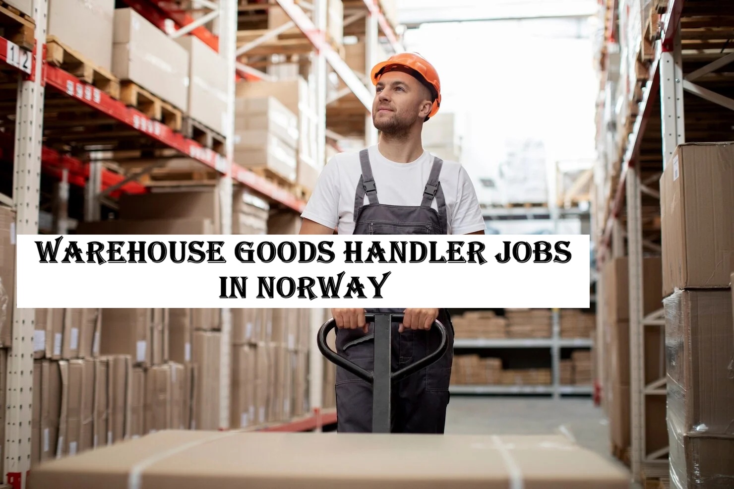 Warehouse Goods Handler Jobs in Norway