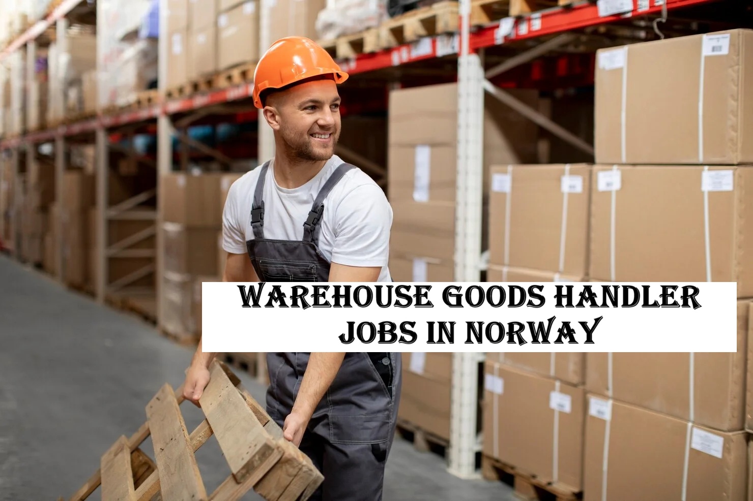 Warehouse Goods Handler Jobs in Norway