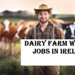Dairy Farm Worker Jobs in Ireland