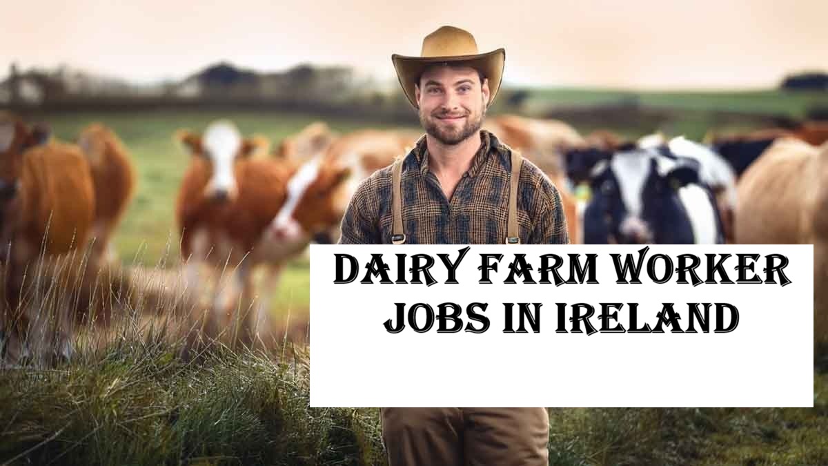 Dairy Farm Worker Jobs in Ireland