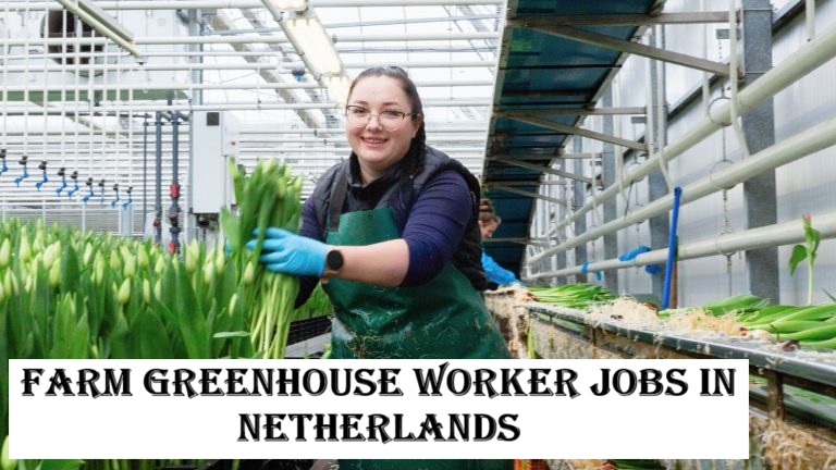 Farm Greenhouse Worker Jobs in Netherlands