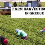 Farm Harvesting Jobs in Greece