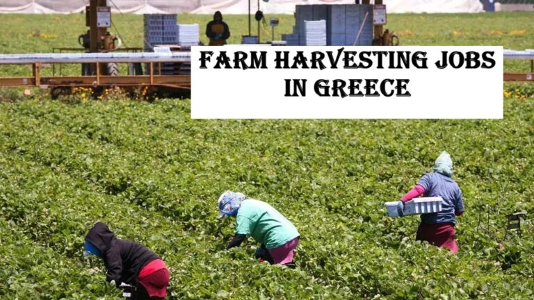 Farm Harvesting Jobs in Greece