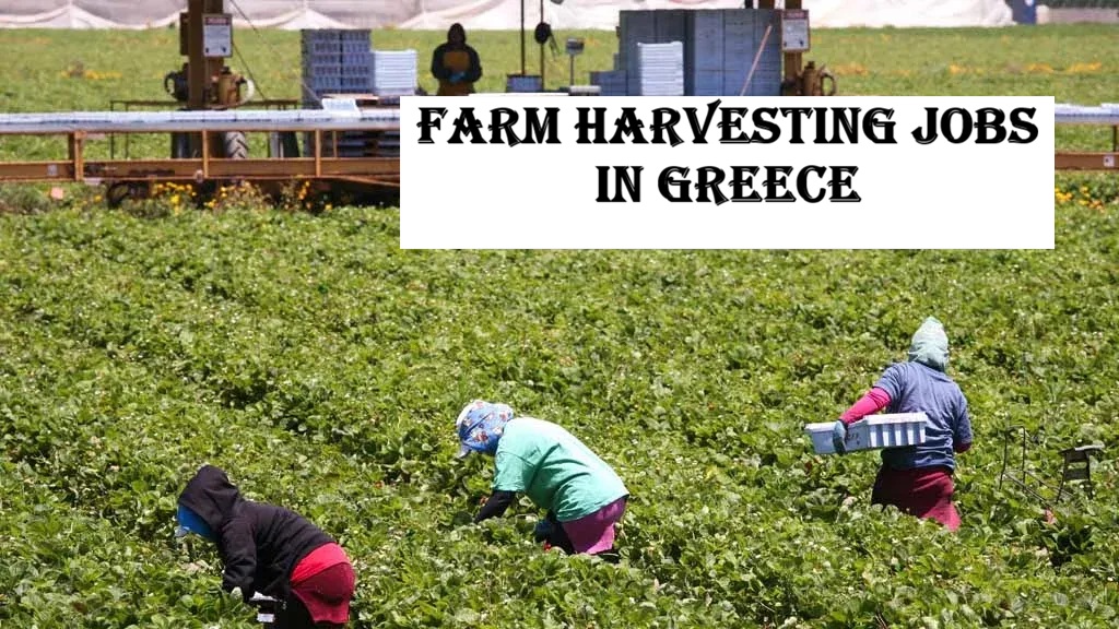 Farm Harvesting Jobs in Greece