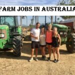 Farm Jobs in Australia