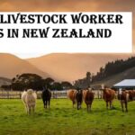 Farm Livestock Worker Jobs in New Zealand