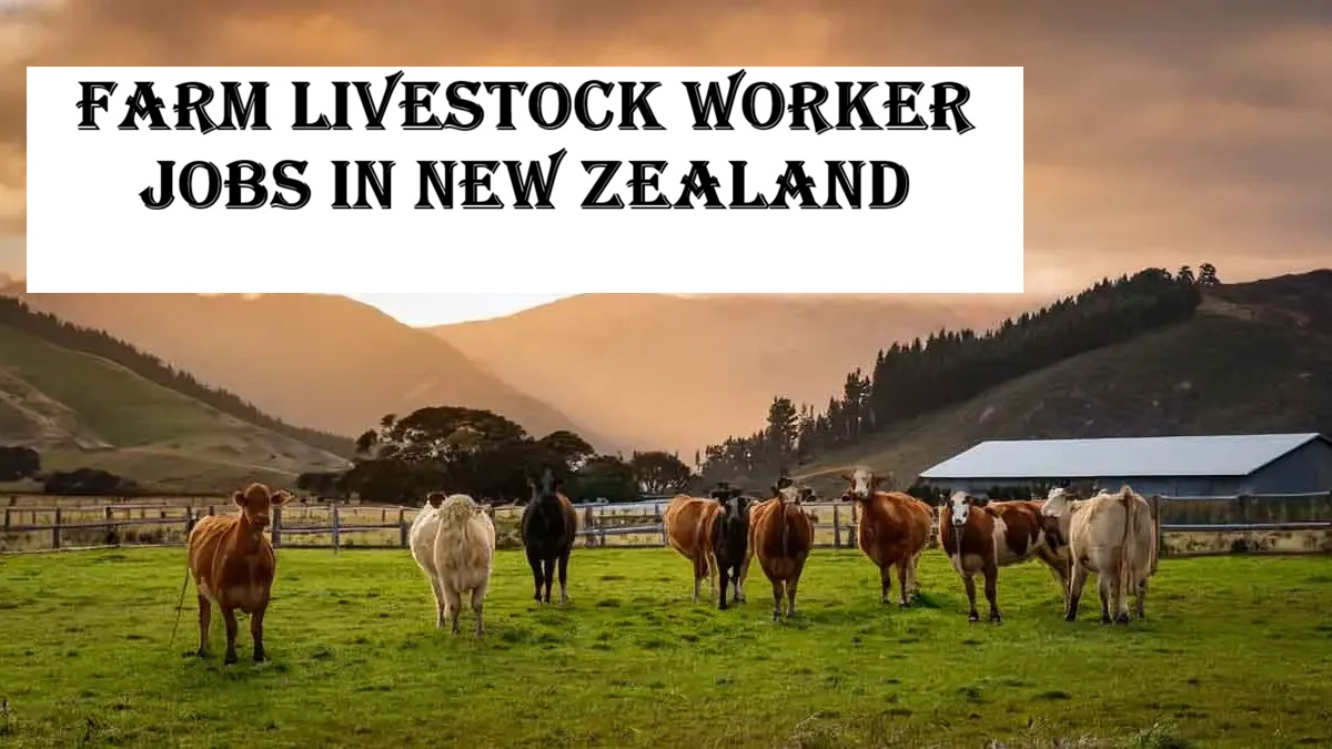 Farm Livestock Worker Jobs in New Zealand