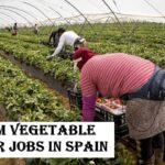 Farm Vegetable Picker Jobs in Spain