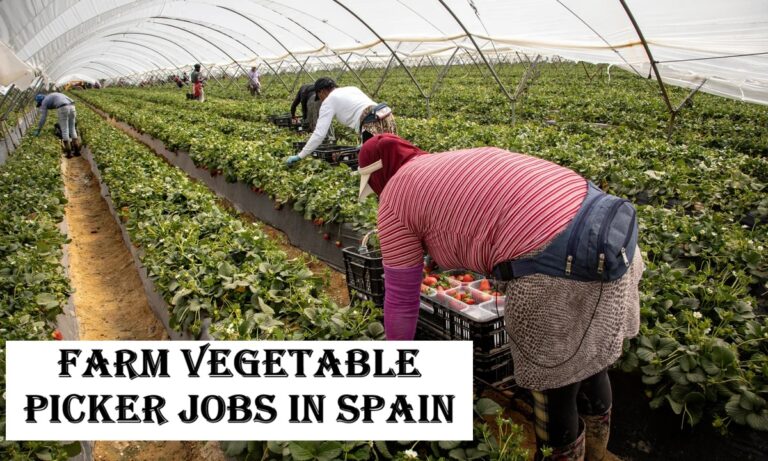Farm Vegetable Picker Jobs in Spain