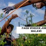 Farm Worker Jobs in Malawi