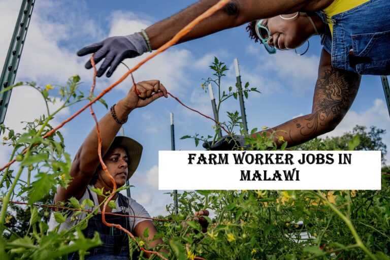 Farm Worker Jobs in Malawi