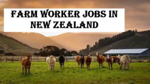 Farm Worker Jobs in New Zealand