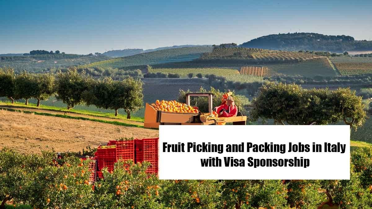 Fruit Packing Jobs in Italy