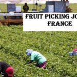 Fruit Picking Jobs in France