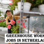 Greenhouse Worker Jobs in Netherlands
