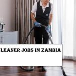 Hotel Cleaner Jobs in Zambia