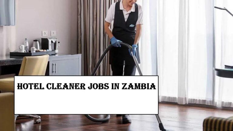 Hotel Cleaner Jobs in Zambia