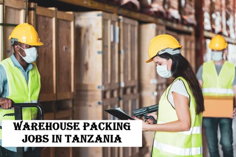 Warehouse Packing Jobs in Tanzania