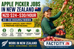 Apple Picker Jobs in New Zealand