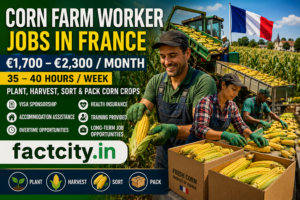 Corn Farm Worker Jobs in France
