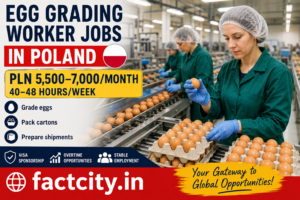 Egg Grading Worker Jobs in Poland
