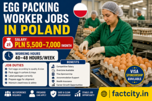 Egg Packing Worker Jobs in Poland