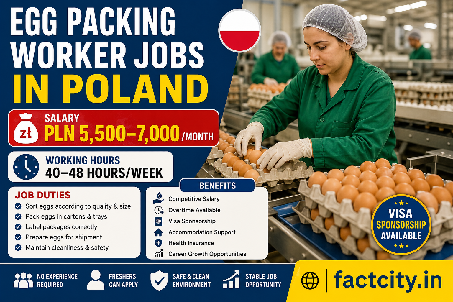 Egg Packing Worker Jobs in Poland