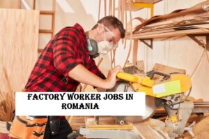 Factory Worker Jobs in Romania