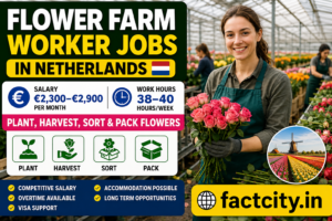 Flower Farm Worker Jobs in Netherlands