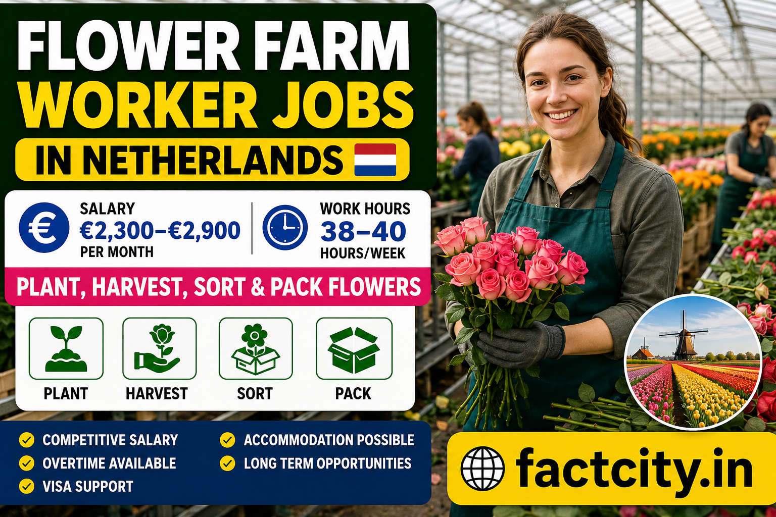 Flower Farm Worker Jobs in Netherlands