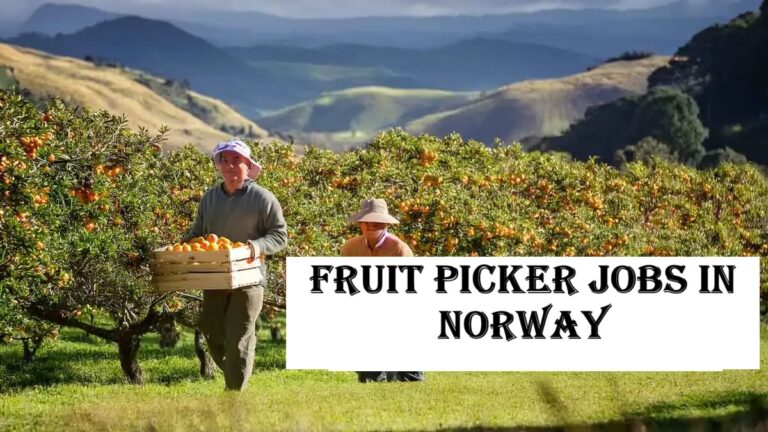 Fruit Picker Jobs in Norway