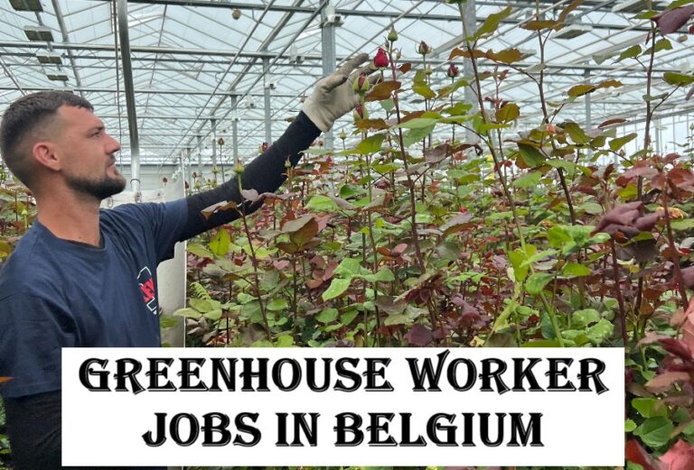 Greenhouse Worker Jobs in Belgium