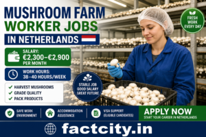 Mushroom Farm Worker Jobs in Netherlands