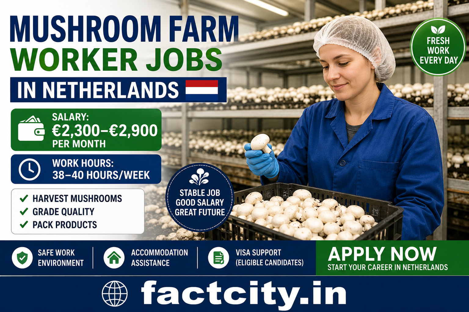 Mushroom Farm Worker Jobs in Netherlands