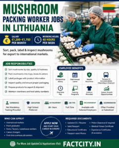 Mushroom Packing Worker Jobs in Lithuania