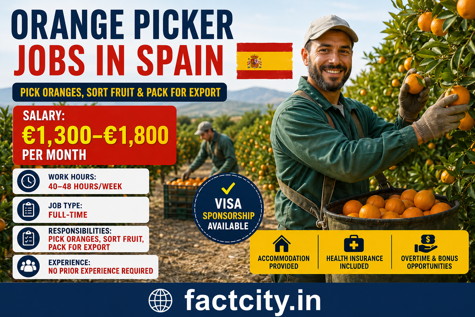 Orange Picker Jobs in Spain