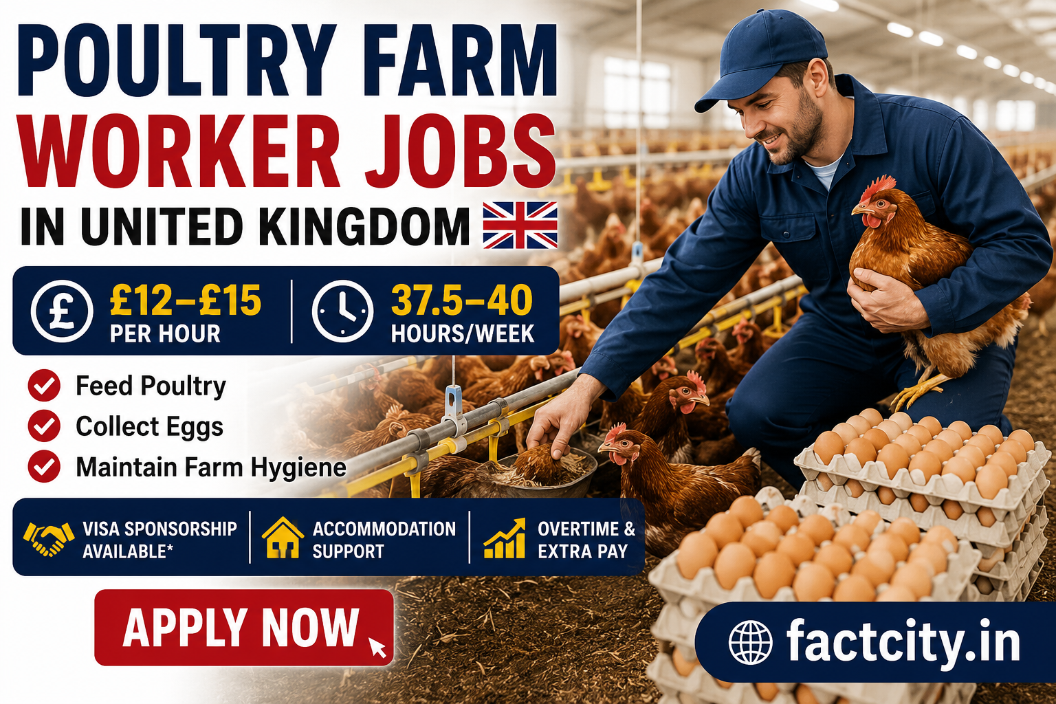 Poultry Farm Worker Jobs in United Kingdom