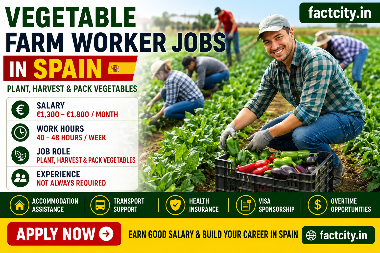 Vegetable Farm Worker Jobs in Spain