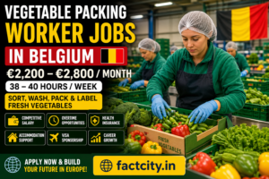 Vegetable Packing Worker Jobs in Belgium