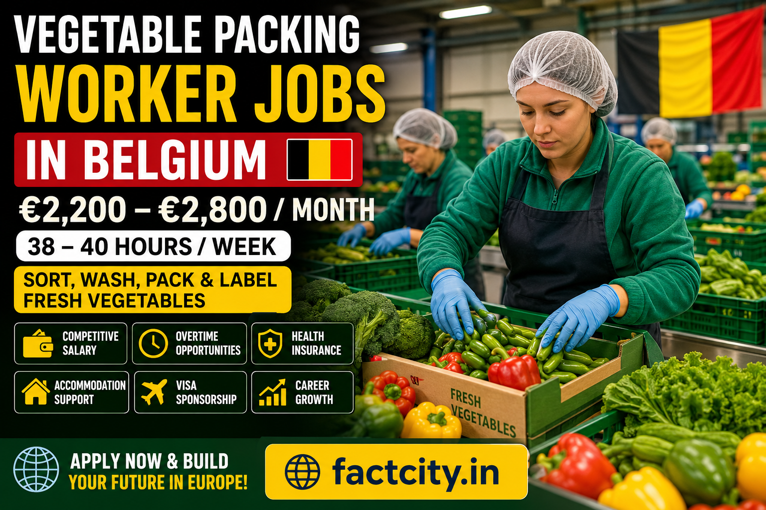 Vegetable Packing Worker Jobs in Belgium