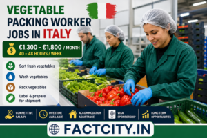 Vegetable Packing Worker Jobs in Italy