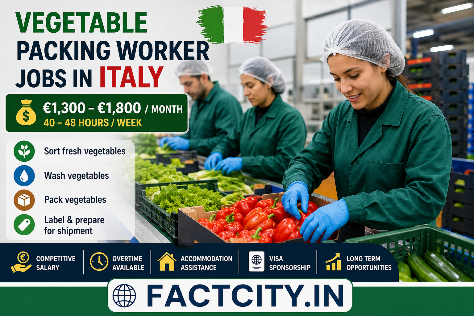 Vegetable Packing Worker Jobs in Italy