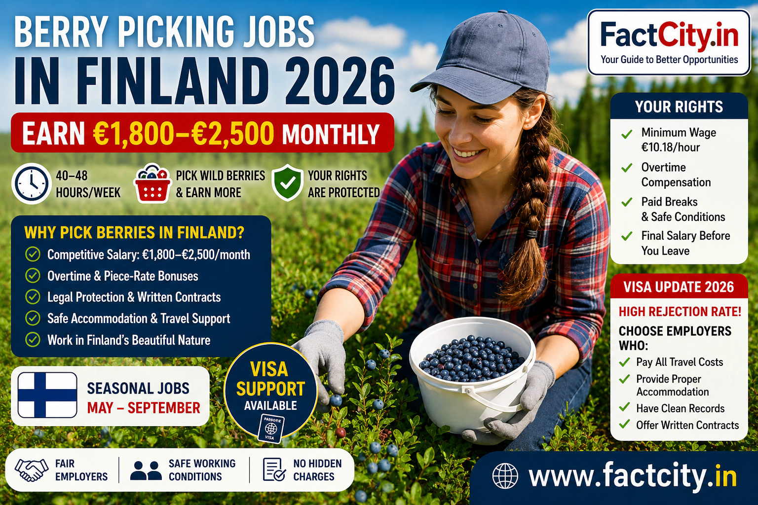 Berry Picking Jobs in Finland