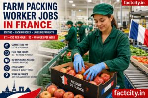 Farm Packing Worker Jobs in France