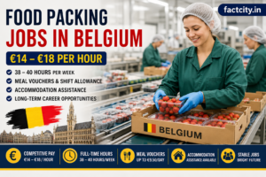 Food Packing Jobs in Belgium